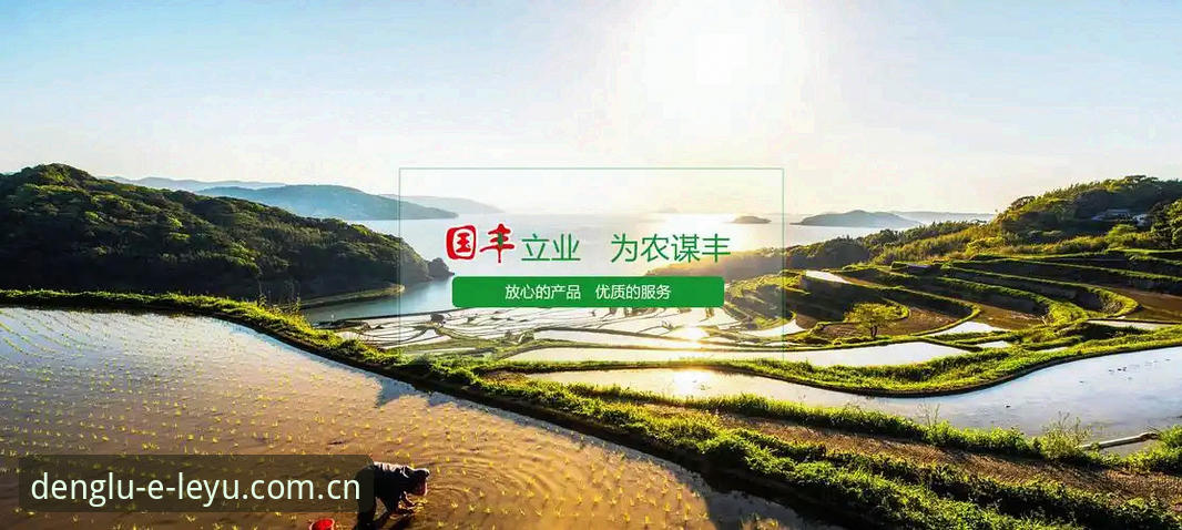 乐鱼即刻开启 乐鱼体育平台功能模块全面解析:从登录到畅玩的实战指南